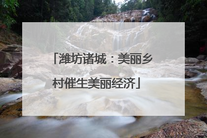 潍坊诸城：美丽乡村催生美丽经济
