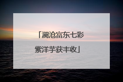 澜沧富东七彩紫洋芋获丰收