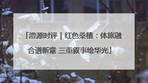 澧源时评｜红色桑植：体旅融合谱新章 三重叙事绘华光