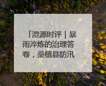 澧源时评｜暴雨淬炼的治理答卷，桑植县防汛一线的细节肌理与体系力量