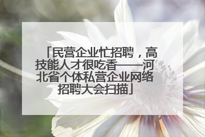 民营企业忙招聘，高技能人才很吃香——河北省个体私营企业网络招聘大会扫描