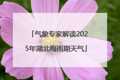 气象专家解读2025年湖北梅雨期天气