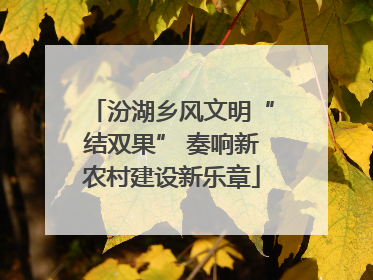 汾湖乡风文明“结双果” 奏响新农村建设新乐章