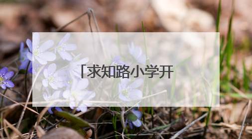 求知路小学开展端午节主题系列教育活动