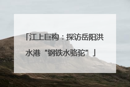 江上巨构：探访岳阳洪水港“钢铁水骆驼”