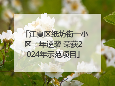 江夏区纸坊街一小区一年逆袭 荣获2024年示范项目