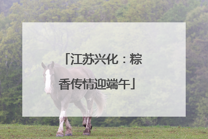 江苏兴化：粽香传情迎端午