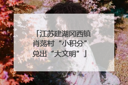 江苏建湖冈西镇肖荡村“小积分”兑出“大文明”