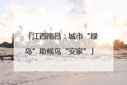 江西南昌：城市“绿岛”助候鸟“安家”