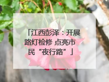 江西彭泽：开展路灯检修 点亮市民“夜行路”