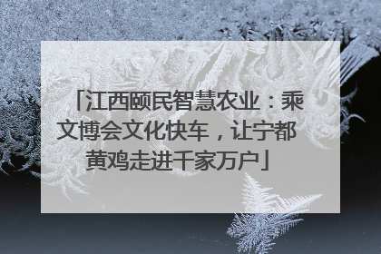 江西颐民智慧农业：乘文博会文化快车，让宁都黄鸡走进千家万户