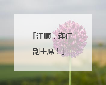 汪顺，连任副主席！