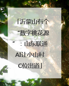 沂蒙山有个“数字桃花源”：山东联通AI让小山村C位出道