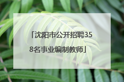 沈阳市公开招聘358名事业编制教师