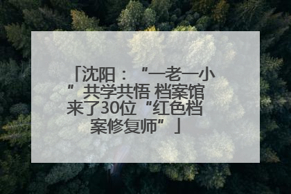 沈阳：“一老一小”共学共悟 档案馆来了30位“红色档案修复师”