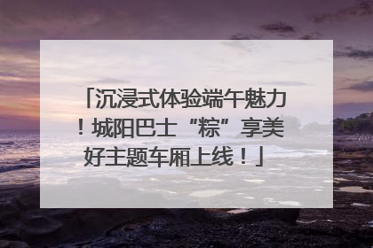 沉浸式体验端午魅力！城阳巴士“粽”享美好主题车厢上线！