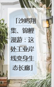 沙鸥翔集、锦鲤漫游：这处工业岸线变身生态长廊