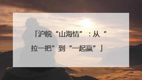 沪皖“山海情”：从“拉一把”到“一起赢”