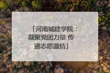 河南城建学院：凝聚党团力量 传递志愿温情