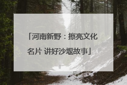 河南新野：擦亮文化名片 讲好沙堰故事
