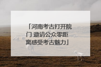 河南考古打开院门 邀请公众零距离感受考古魅力