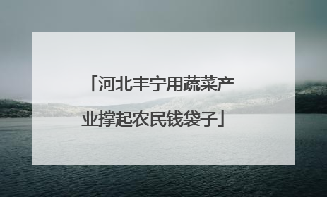 河北丰宁用蔬菜产业撑起农民钱袋子