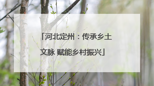 河北定州：传承乡土文脉 赋能乡村振兴