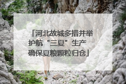 河北故城多措并举护航“三夏”生产 确保夏粮颗粒归仓
