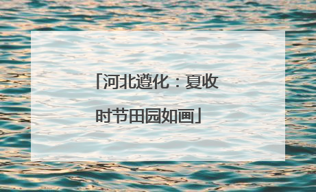 河北遵化：夏收时节田园如画