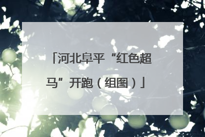 河北阜平“红色超马”开跑（组图）