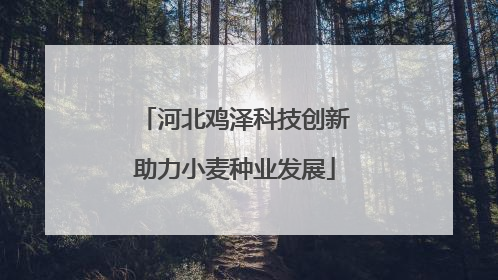 河北鸡泽科技创新助力小麦种业发展