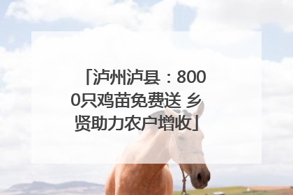 泸州泸县：8000只鸡苗免费送 乡贤助力农户增收