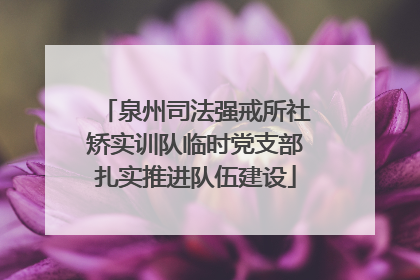泉州司法强戒所社矫实训队临时党支部扎实推进队伍建设