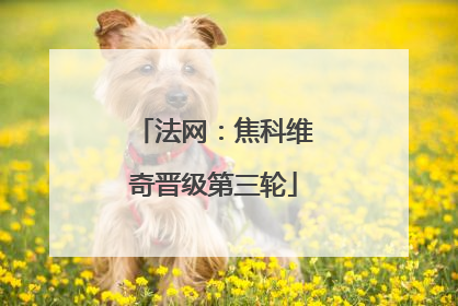法网：焦科维奇晋级第三轮