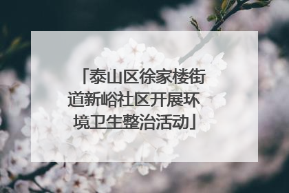 泰山区徐家楼街道新峪社区开展环境卫生整治活动