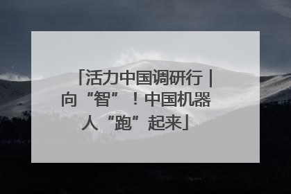 活力中国调研行｜向“智”！中国机器人“跑”起来