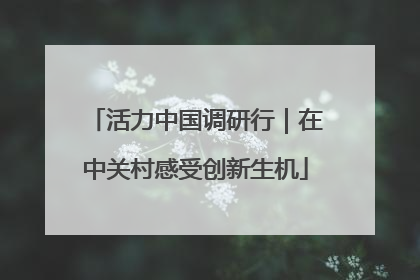 活力中国调研行｜在中关村感受创新生机