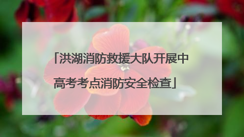 洪湖消防救援大队开展中高考考点消防安全检查
