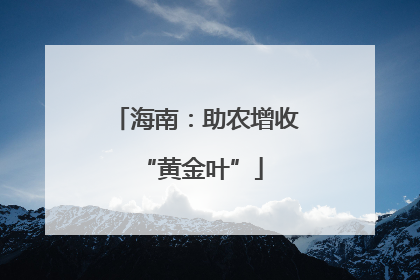 海南：助农增收 “黄金叶”