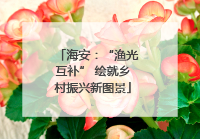 海安：“渔光互补” 绘就乡村振兴新图景