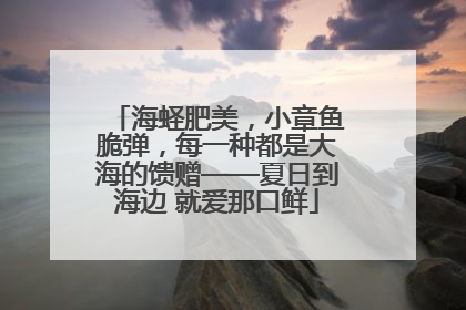 海蛏肥美，小章鱼脆弹，每一种都是大海的馈赠——夏日到海边 就爱那口鲜