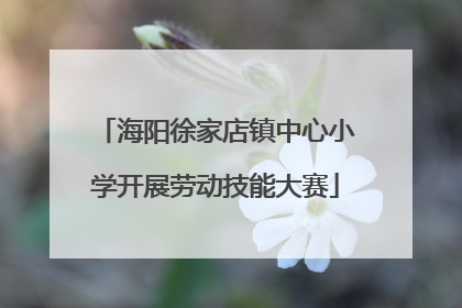 海阳徐家店镇中心小学开展劳动技能大赛