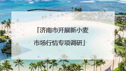 济南市开展新小麦市场行情专项调研