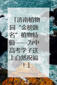 济南植物园“金榜题名”植物特辑——为中高考学子送上自然祝福！