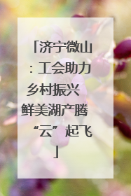 济宁微山：工会助力乡村振兴 鲜美湖产腾“云”起飞