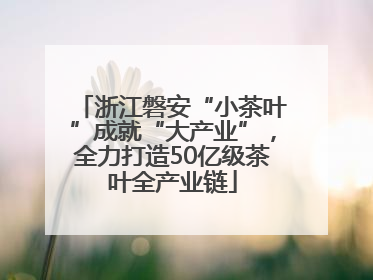 浙江磐安“小茶叶”成就“大产业”，全力打造50亿级茶叶全产业链
