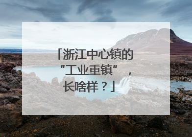 浙江中心镇的“工业重镇”，长啥样？