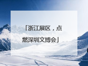 浙江展区，点燃深圳文博会