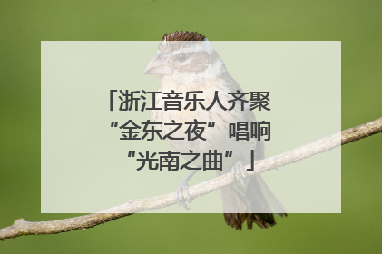 浙江音乐人齐聚“金东之夜”唱响“光南之曲”