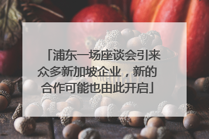 浦东一场座谈会引来众多新加坡企业，新的合作可能也由此开启